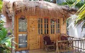 Yoga Culture Palolem